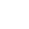 Viginti Logotyp